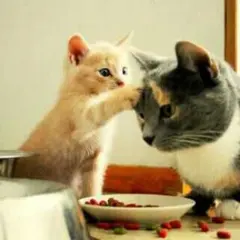 売り切れました  さぉりー♡様専用  アナと雪の女王のヘアゴム  ハンドメイド