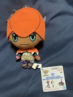 ✨️最安値✨️ ポケモンマスターズ EX ぬいぐるみ キバナ①