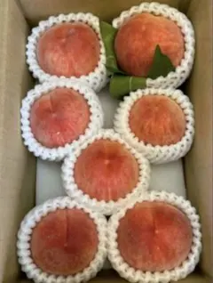 桃　山梨の桃　家庭用　peachのサムネイル