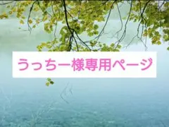 うっちー様専用ページ