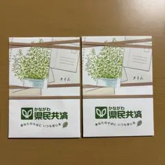 タイムのタネ×2袋