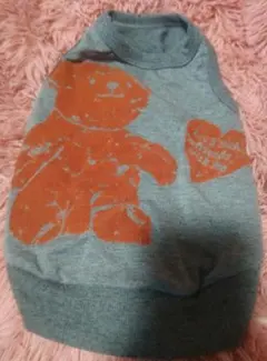 Item thumbnail for item 1fe69579-4efb-4e59-8c54-615cfcb2d2b6