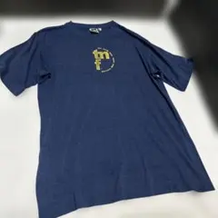 THE NORTH FACEザノースフェイスTシャツL90s 00s紺