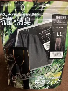 Item thumbnail for item 935daa09-138d-42c3-aa2c-dfac30b1a02c