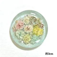 NO.2978可憐な思い花˚✧⁎⁺˳✧༚ドライフラワー レジンヘアゴム ブローチ
