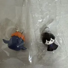 ハイキュー　めじるしアクセサリー　ヒナガラス　影山飛雄　２点セット