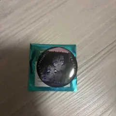 鬼滅の刃 無限城編 ものがたる眼差しB 胡蝶カナエ 胡蝶しのぶ 胡蝶姉妹