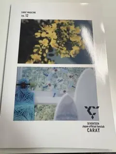 CARAT MAGAZINE vol.12 SEVENTEEN