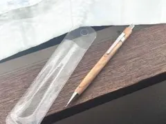 Item thumbnail for item 208b8604-347f-4168-a3d9-23c01d54d8b0