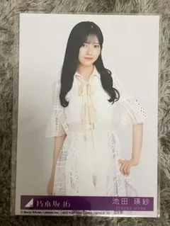 乃木坂46 歩道橋 封入 生写真 池田瑛紗