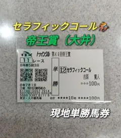 2026年最新】帝王賞 馬券の人気アイテム - メルカリ
