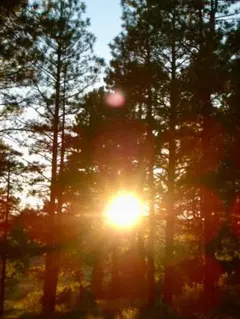 らくだとねずみ様 リクエスト 2点 まとめ商品