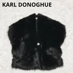 2025年最新】karl donoghue コートの人気アイテム - メルカリ