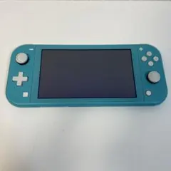 動作確認済み　Nintendo Switch Lite ターコイズ