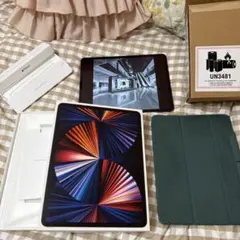 iPad Pro12.9 M1 セルラー 256GB &Apple Pencil