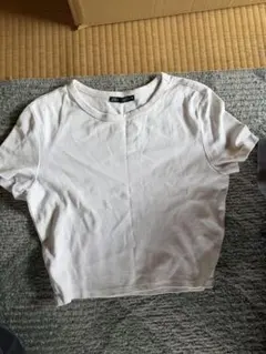 ZARA ホワイト クロップドTシャツ