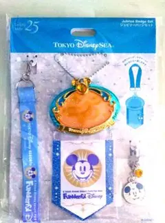 ⭐︎シー25周年☆ジュビリーバッジ4点セット ファンダフル限定 - メルカリ