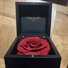 ROSE GALLERY GINZA ダイヤモンドローズ プリザーブドフラワー - メルカリ