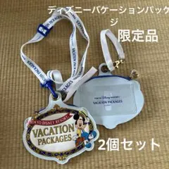 ディズニーバケーションパッケージ　パスケース　バケパ限定品　ミッキーマウス