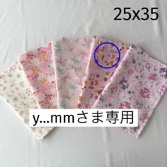 No.C53 ランチョンマット 25x35cm 裏地なし