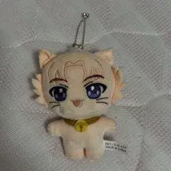 テニスの王子様展 テニプリ展 ぬいパル ゆかいなテニプリ一家 菊丸英二