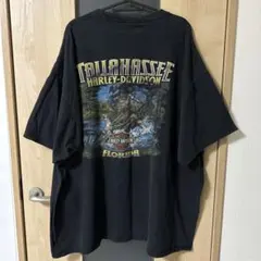 ク*ー様 ハーレーダビッドソン スカル 骸骨 ネイティブアメリカン Tシャツ 両