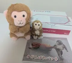 ☆チラシ付【新品・未使用】ニホンザル ぬいぐるみ 市川市動植物園