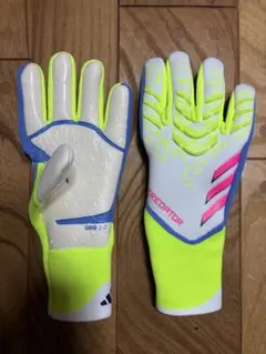 Item thumbnail for item 047837f7-0549-4415-8533-d92d675e044d