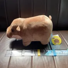 ちびかばヒポポンブラウンおまけ付き