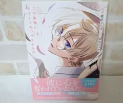 藍衣くらげ夏色ひよりこの感情にタイトルをつけるならば上商業BLボーイズラブ漫画