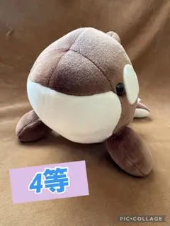 2026年最新】須磨シーワールドの人気アイテム - メルカリ