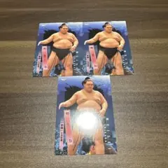 Item thumbnail for item 733c276e-57d0-4838-8774-a7f7a0c6e3ca