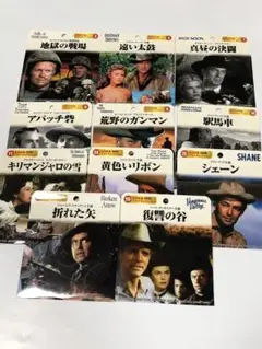 世界名作映画DVD コレクション 作品セット11枚　まとめ売り