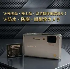 2026年最新】panasonic DMC-FT1の人気アイテム - メルカリ