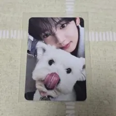 ユジン　トレカ　ゼベワン　zb1　犬　レオ　デジパック