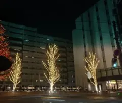 くろっち！様専用　おまとめ