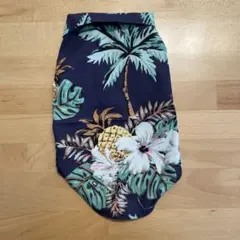 Item thumbnail for item c0d8cd6e-cf2e-49ec-89db-1eae108323ed