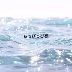 ちっぴっぴ様専用ページ
