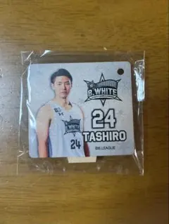 Item thumbnail for item f716e0c9-1921-4ba4-8a70-86c38824c179