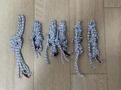 Item thumbnail for item 397de45f-bee0-47a4-9efd-2dbd9278c96f