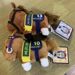 コパノリッキー　アヤノトップガン　サラブレッドコレクション