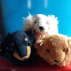 TAKENOKOダックスフントぬいぐるみ