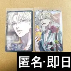バックライト　backlight AR フォトカ　韓国BL スペシャル　レア