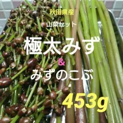 秋田県産 みずのこぶ みずの実 300g 採れたて - メルカリ