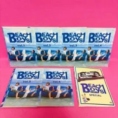 ※新品ケース交換済み　 ビーチボーイズ DVD 全6巻＋スペシャル 7巻 新品ケース交換済み Beach Boys ビーチボーイズ DVD 全6巻＋スペシャル