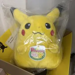 おかえり！ピカチュウ1/1 ポケモン30周年記念 タカラトミー限定 専用BOX