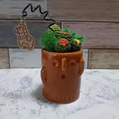 編みぐるみ⭐多肉植物はにわの鉢のサムネイル