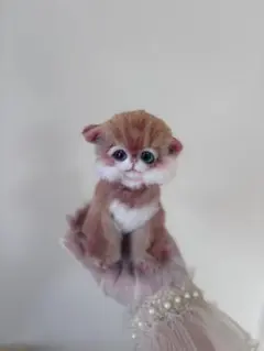 テディキャット アンティークレースのおしゃれ猫ちゃん(=^x