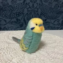 11☆セキセイインコ☆レインボーブルーb☆実物大 11☆セキセイインコ☆レインボーブルーb☆実物大 - メルカリ