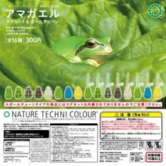 ネイチャーテクニカラーアマガエル ボールチェーン【アルビノ】